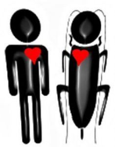 hombres y cucarachas, otro Post Data
