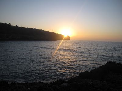 playa mallorca