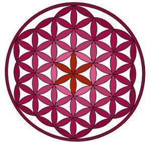 la flor de la vida, otro Post Data, cáncer cuello útero, cérvix, colposcopia