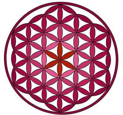 la flor de la vida, otro Post Data, cáncer cuello útero, cérvix, colposcopia