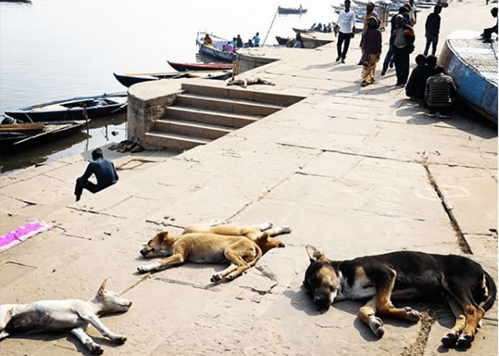 silencio, se duerme, otro Post Data, ghats, Benarés, travel blogger