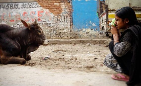 a qué distancia tienes tus miedos, otro Post Data, valor, terror, escapar, enfrentar, superar, fotografía, Pilar Ruiz Costa, slums, India