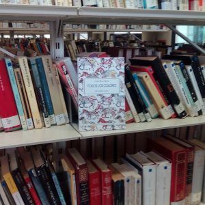 Me toca ponerme seria, libros otro Post Data