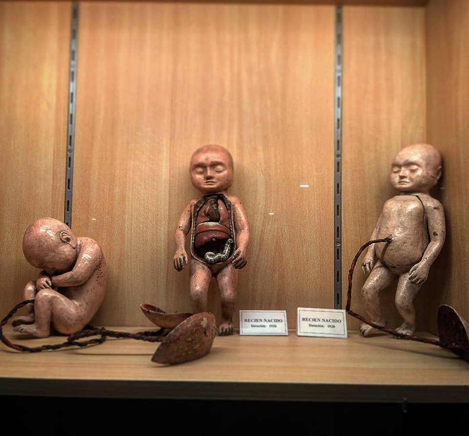 otro Post Data, el ser humano es extraordinario, divagación segunda, ciencia, medicina