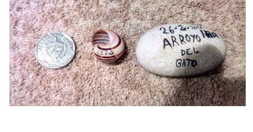 otro Post Data, las historias contagiosas