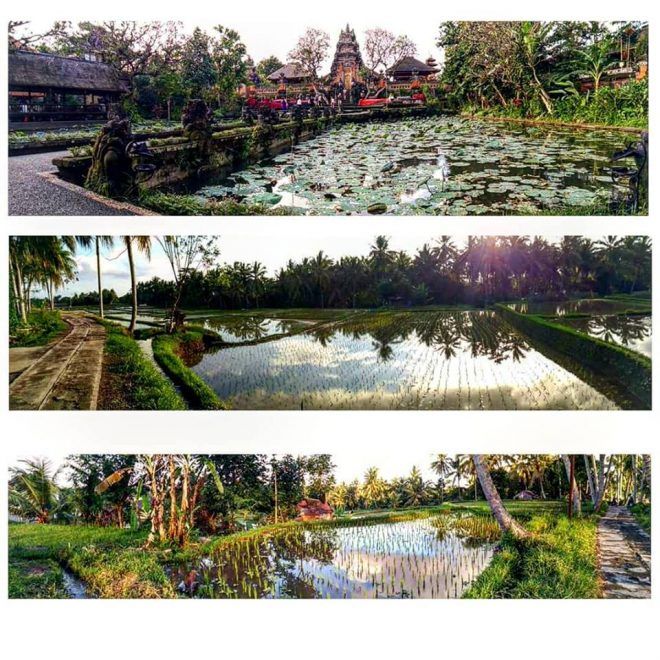 otro Post Data, Ubud, el corazón de Bali