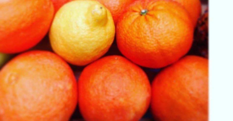 90-60-90, otro Post Data